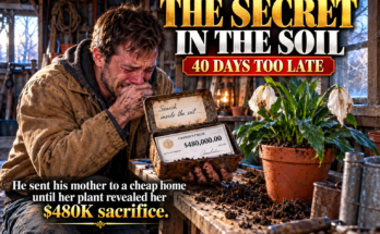 I Evicted My 72-Year-Old Mother to Give My Kids Space, Sending Her to the Cheapest Care Home Where She Passed Away 40 Days Later, Leaving Behind a Potted Plant With a Note to Search the Soil